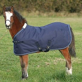 Mark Todd Foal Turnout Rugs - Equestrian Shop